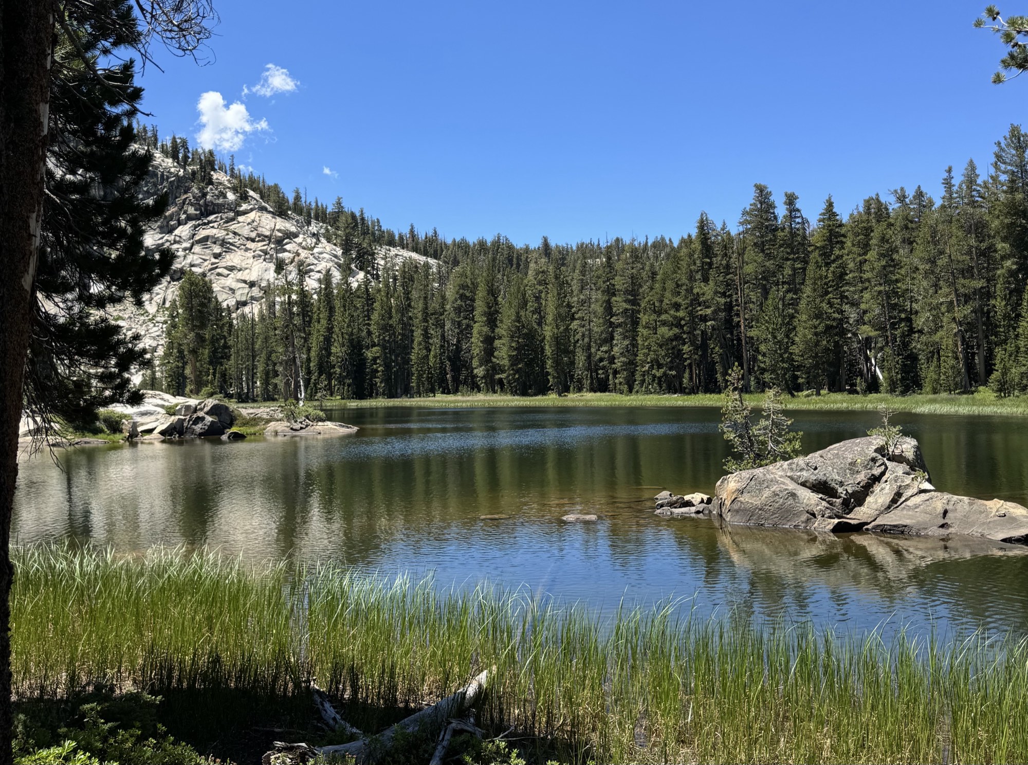 Grassy shallows and granite dome at a Ten Lakes basin lake