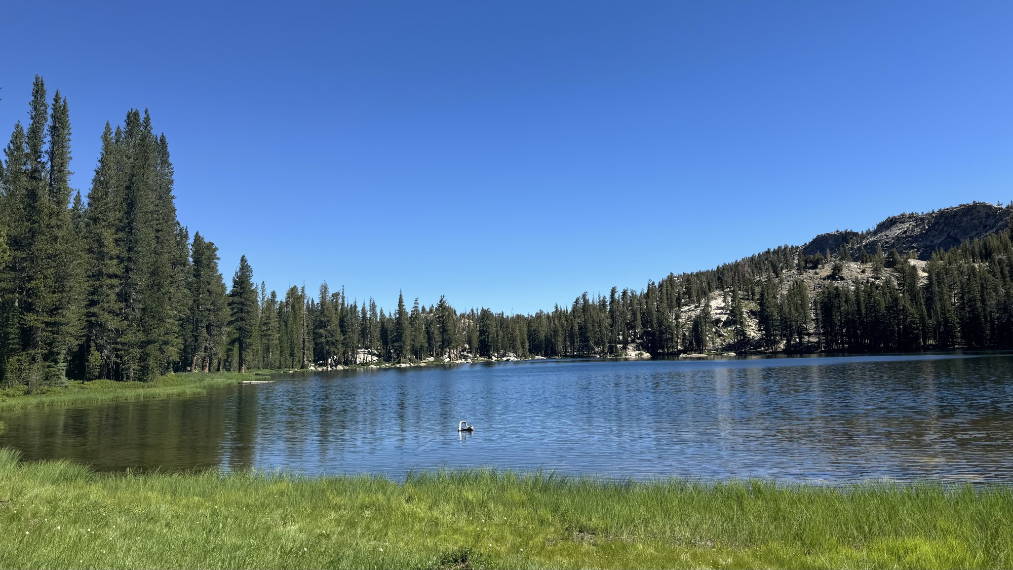 The main lake at Ten Lakes with grassy shoreline